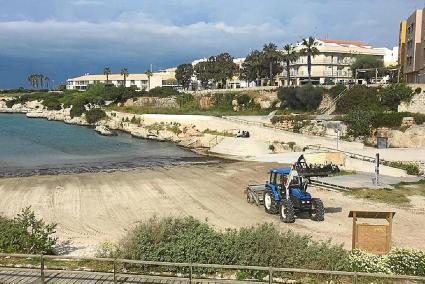 Imagen de las máquinas del servicio de limpieza trabajando ayer en la Platja Gran de Ciutadella.