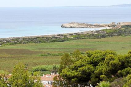 Menorca Alaior / Gemma Andreu / Son Bou / Torresoli / vertido que aca