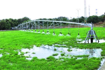 La infiltración de agua depurada en Sant Lluís se realizará durante un año.