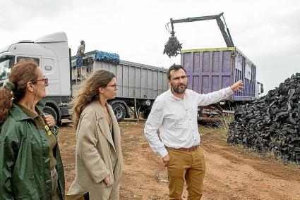 Llorenç Sansó ayer junto a técnicas de Medio Ambiente y de la empresa que realiza la retirada.