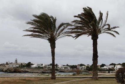 El viento será protagonista los próximos días