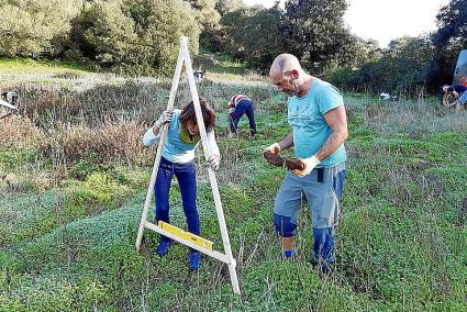 Unos 20 voluntarios trabajaron en la finca de La Marcona