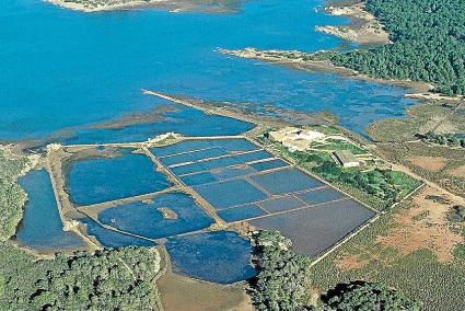 MENORCA - LA RESERVA LA CONCEPCIO EN FORNELLS RECUPERA LA SALINERA PRODUCIENDO FLOR DE SAL.