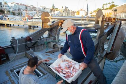 Preocupación entre els pescadores por la falta de gambas