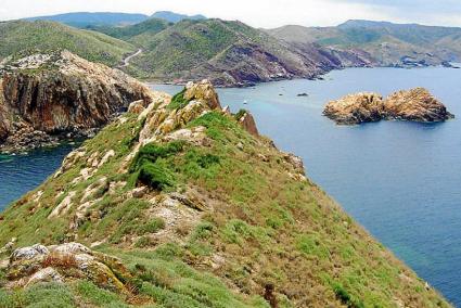 L’hàbitat de l’illa de ses Bledes, un dels que apareixen descrits en aquesta guia elaborada per l’Obsam