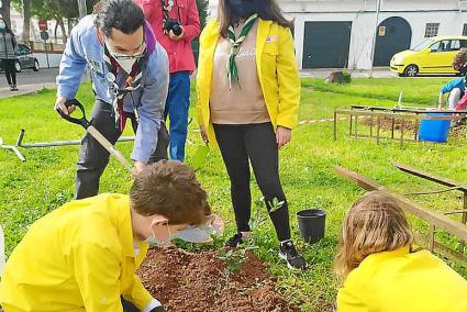 En total se plantaron una treintena de árboles en cinco municipios