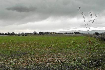 Los ecologistas circunscriben algunas actividades al rústico común