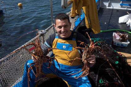 Comienza la pesca de la langosta en Menorca con el reto de recuperar capturas