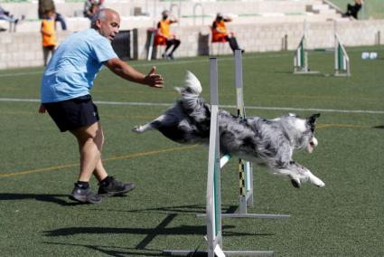 Un guía y su perro durante un ejercicio del circuito