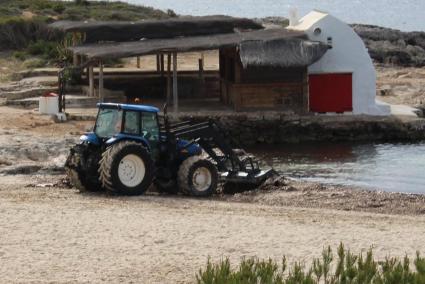 Un vehículo del servicio de limpieza, junto a la orilla de la playa de Binibèquer. Foto: SOS POSIDÒNIA