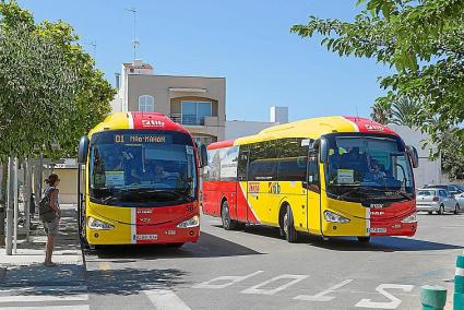 El concurso del servicio de bus regular apura los plazos y se realizará en 2020.