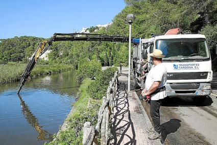 menorca rio cala galdana algas posidonia rio obras retirada