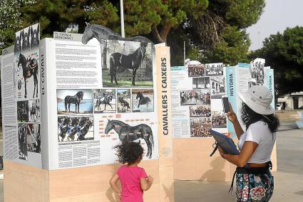 La muestra, que se exhibió en 2015 en el Claustre del Carme, luce ahora en la Plaça Esplanada.