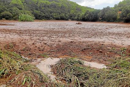 La inundación ha dejado paso a una espesa capa de barro que ahora debe retirarse para labrar la tierra.