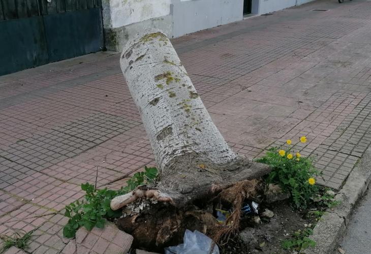 Con la mochila a cuestas, en un 2022 que viene con curvas