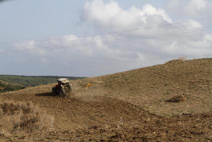 Imagen de una finca de Es Mercadal.