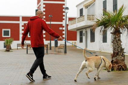 Los propietarios de perros en Es Castell deberán censar a los animales en el Ayuntamiento.