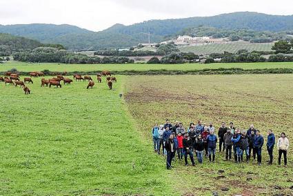 Imagen de un curso de pastoreo dirigido en La Vall