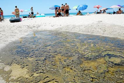 menorca son bou vertido playa aguas fecales