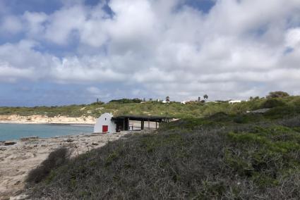 Plantas de manzanilla en la costa de Binibèquer