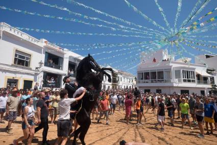 Després de dos anys sense festes, aquest cap de setmana torna Sant Antoni a Fornells.