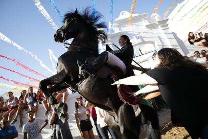 Els cavalls tornen a sortir als carrers de Sant Climent després de dos anys de pandèmia