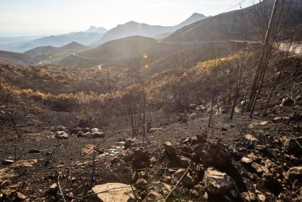 Incendio en la provincia de Castellón