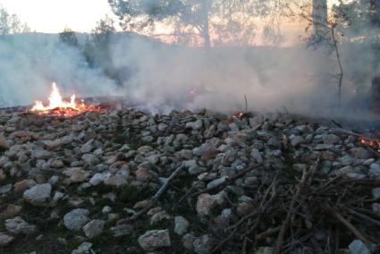 La quema vegetal en entorno forestal en invierno requiere permiso de Medio Ambiente.