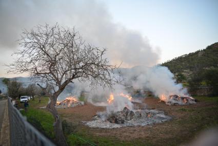 Imagen de una quema controlada de restos vegetales en una finca de Mallorca.