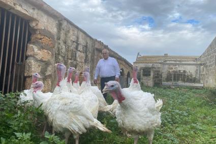 Aunque la mayoría de fincas crían pocos ejemplares, en algunas granjas llegan a los 70.