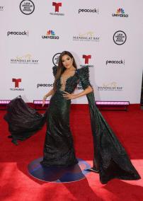 Alfombra roja de los Latin American Music Awards 2022