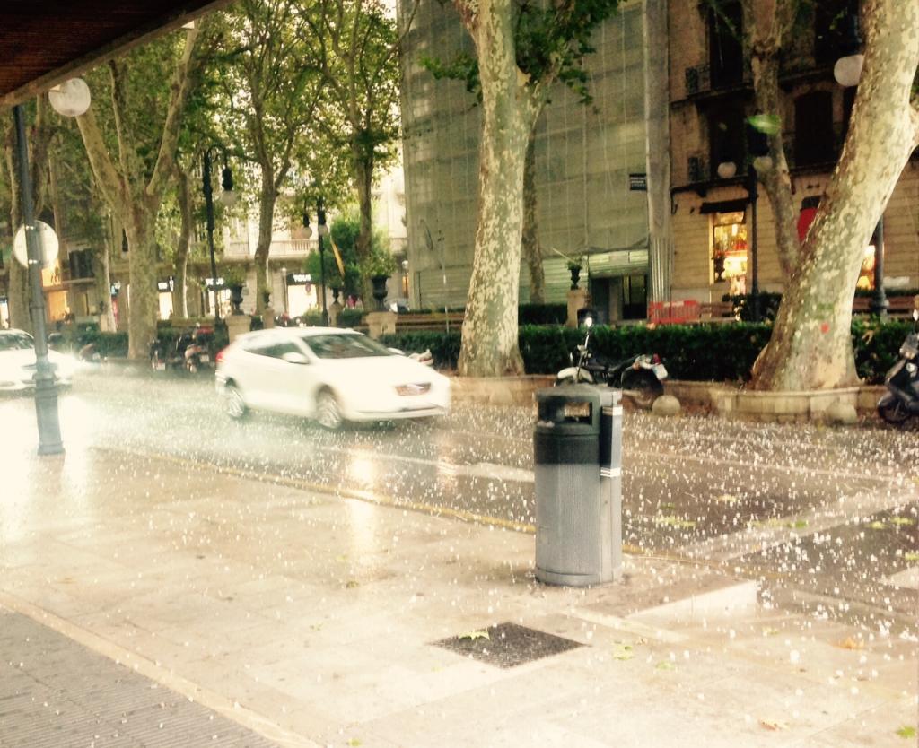 Granizada en el Paseo del Borne