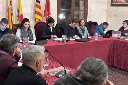 José López, en una intervención en el pleno del mes de enero.