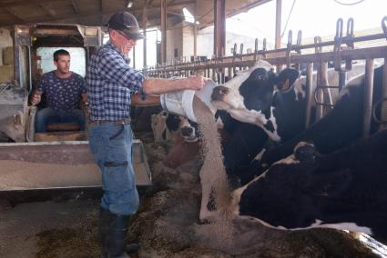 Los payeses de Menorca cobrarán 63 euros más por hectárea que un agricultor o ganadero de la Península.