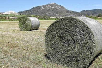 Imagen de una explotación agraria de Menorca.