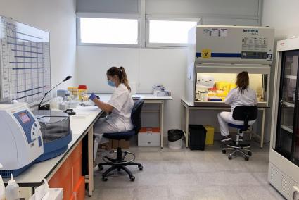 Trabajadores en el Área de Salud de Menorca.