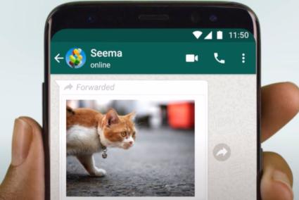 WhatsApp permite modificar o añadir texto a los archivos reenviados en la última beta de Android