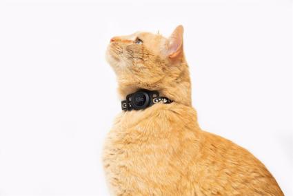 Tile diseña un collar para gatos que monitoriza su ubicación por Bluetooth