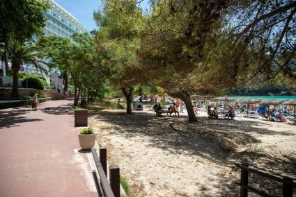 La tarima, aún no instalada, permite disfrutar de la playa a personas con movilidad reducida