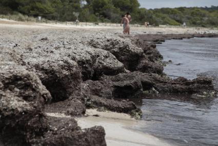 Una pareja sale del agua ayer en la playa de Es Banyul, un arenal natural pero asociado a un aparcamiento y con socorrista, clasificado como playa de tipo B .