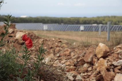 El camino de los proyectos renovables hacia su puesta en marcha, lleno de complicaciones