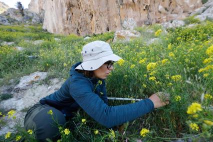 Joana Cursach en treballs de camp. Foto: J.M.L. Romero