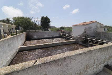 Los tanques de la depuradora de Sant Jaume, repletos de aguas residuales en una imagen tomada este lunes.