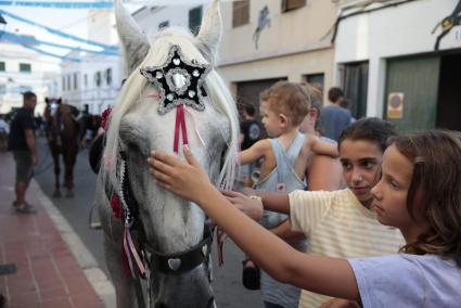 Els cavalls, protagonistes de la celebració