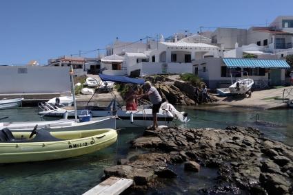 Pescadores aficionados disfrutaron ayer del primer día de pesca de ‘raors’ en Es Grau.