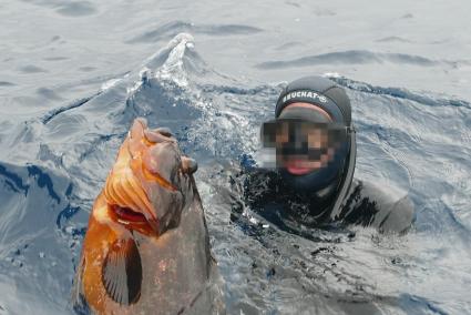 Un campeón de pesca submarina exhibe una de sus capturas en aguas de Balears