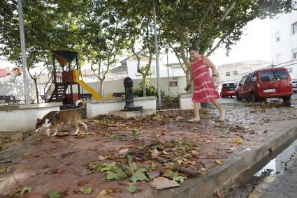 Hojas y ramas caídas tras el paso de la tormenta 'Betty' en Maó a finales de agosto.