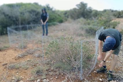 L’equip encarregat del projecte Comen, instal·lant alguns dels tancaments d’exclusió