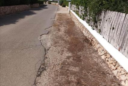 Uno de los márgenes de una calle en la que se fumigó con un producto quimíco.