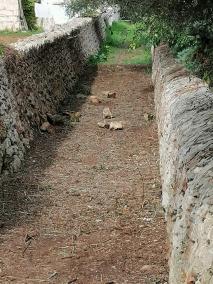 Piedras sobre el camino rehabilitado